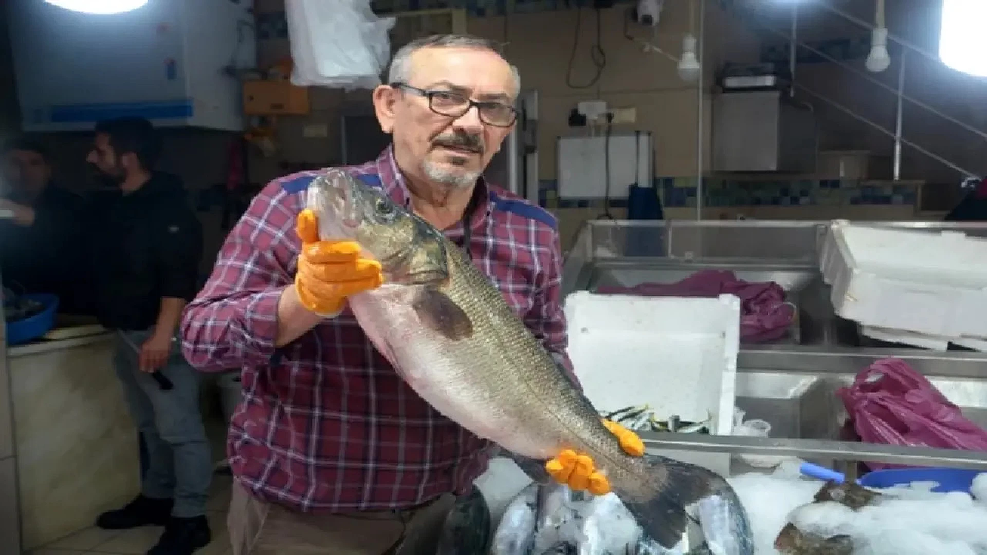5 kilogramlık levrek balığı 3 bin TL'ye satışa çıkarıldı
