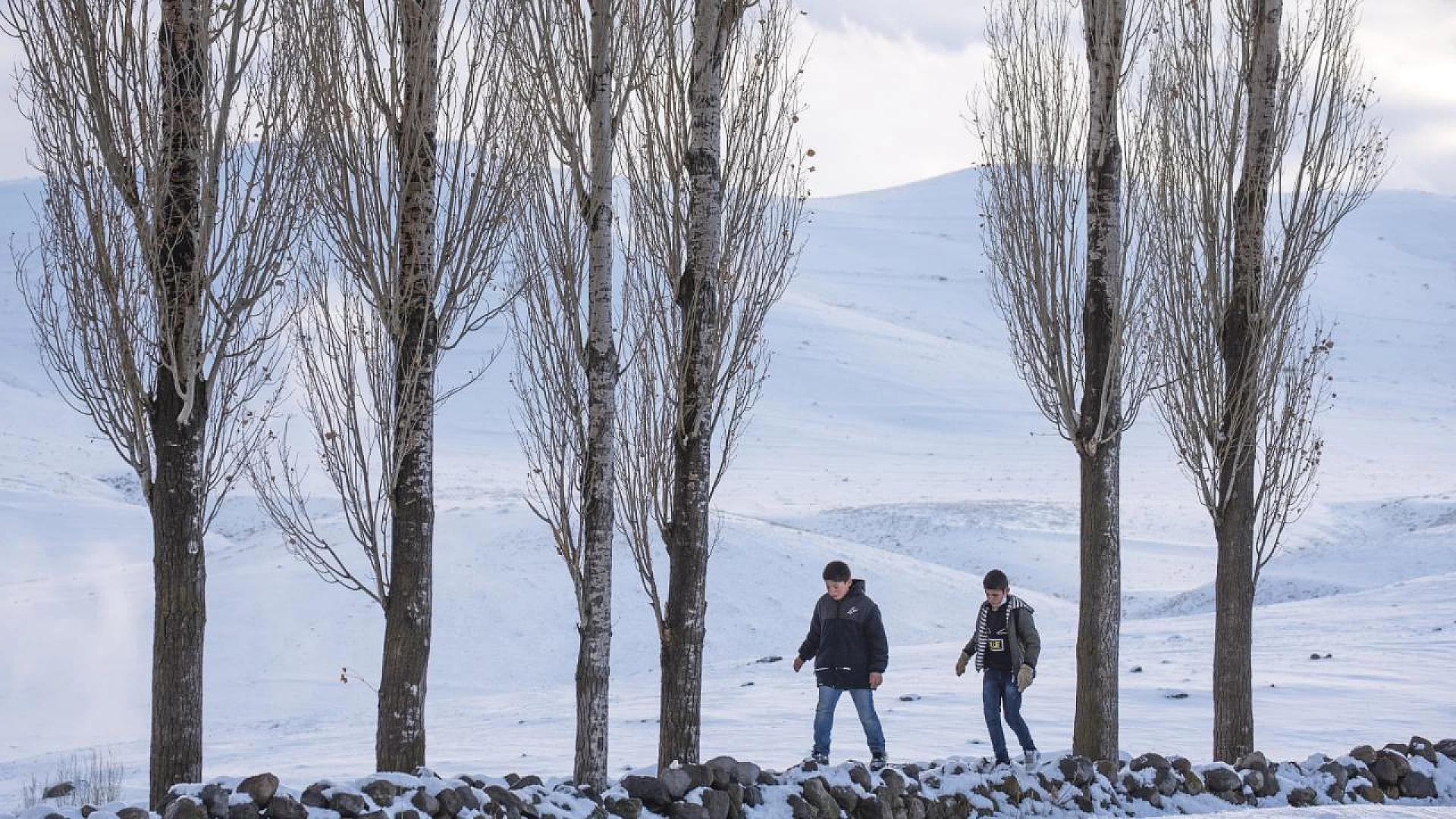 Kars, Ardahan ve Tunceli'de Kar Yağışı Etkisini Sürdürüyor